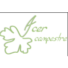 ACER CAMPESTRE
