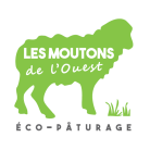 LES MOUTONS DE L OUEST
