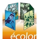 ECOLOR