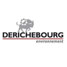 DERICHEBOURG ENVIRONNEMENT - PURFER