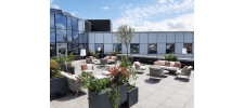 Végétalisation de vos terrasses, rooftop