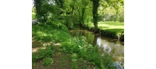 Gestion écologique de l'eau