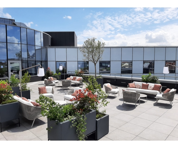  Végétalisation de vos terrasses, rooftop