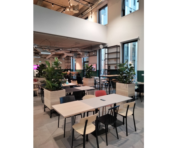  Végétalisation de vos espaces interieurs