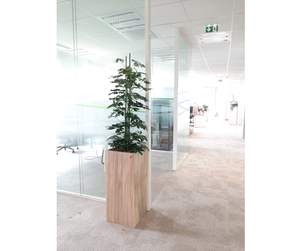  pot en bois massif fabriqué localement