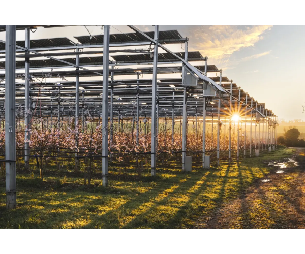  Projet agrivoltaïque
